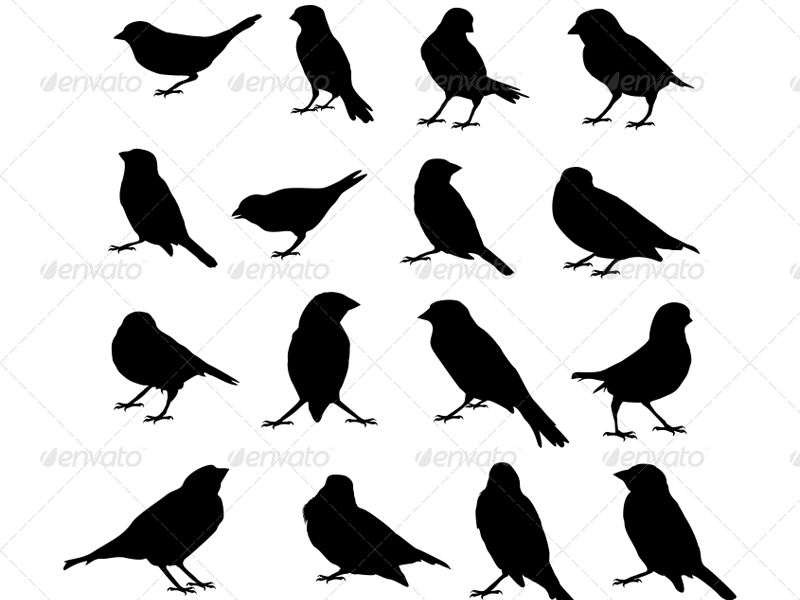 800x600 Sparrow Vector Silhouettes By Petya Hadjieva (Ivanova)