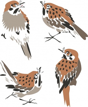 301x368 Sparrow Vector Free Vector Download (45 Free Vector) For