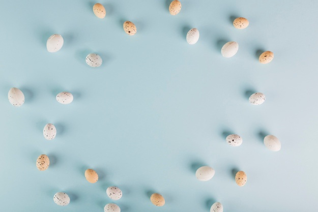 625x417 Speckled Vectors, Photos And Psd Files Free Download