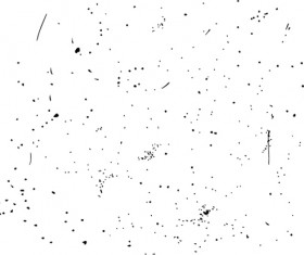 280x235 Speckle Vector