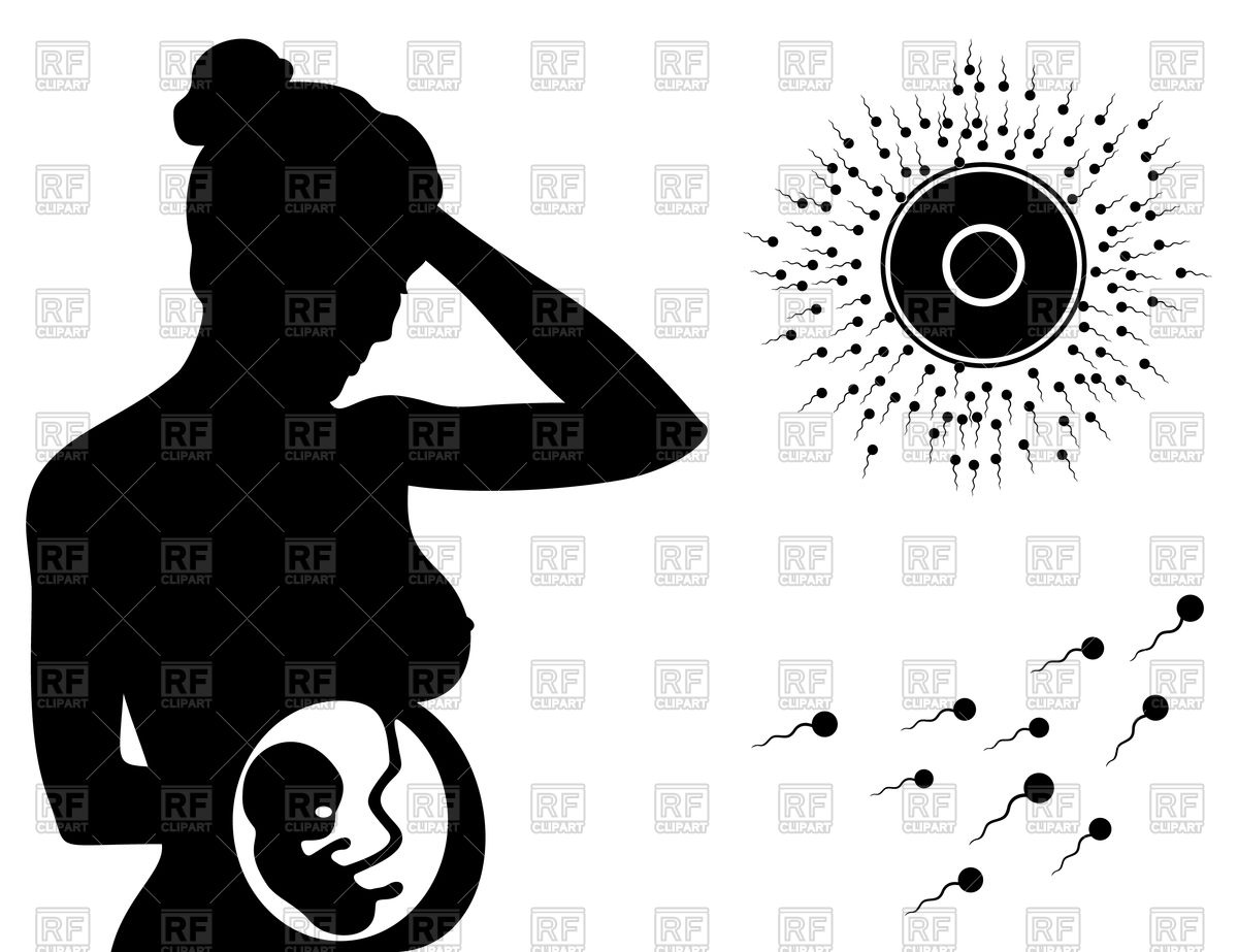 1200x923 Silhouette Of Pregnant Woman And Sperm Vector Image Vector