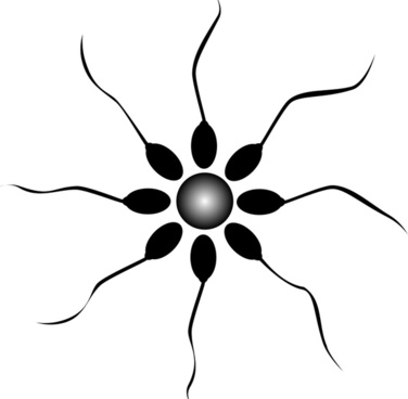 376x368 Sperm Vectors Free Vector Download (15 Free Vector) For Commercial
