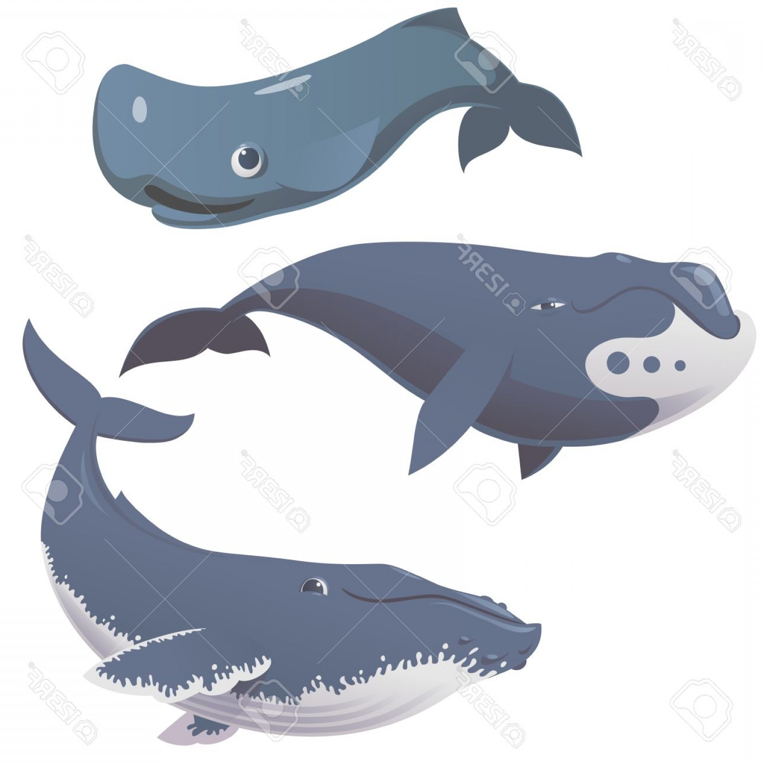 1560x1560 Photostock Vector Set Of Cartoon Cute And Funny Whales