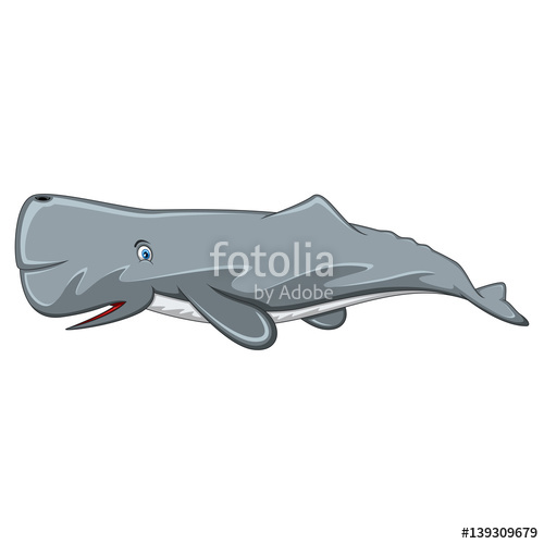 Sperm Whale Vector at GetDrawings | Free download