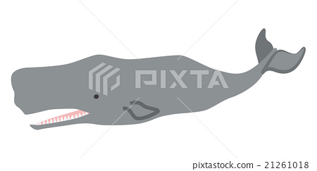 450x243 Vector, Vectors, Sperm Whale