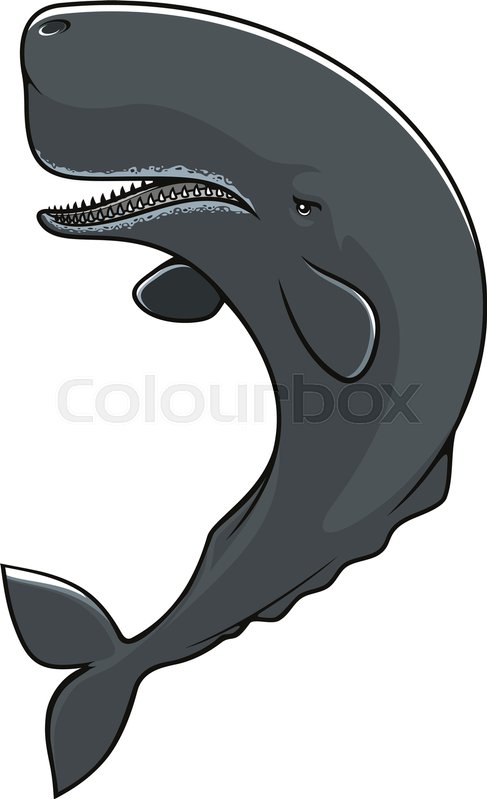 487x799 Cachalot Isolated Icon. Vector Sperm Whale Mammal Fish. Symbol Of