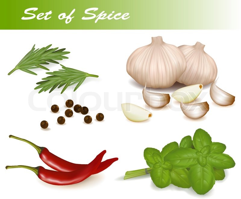 800x660 Set With Spices. Vector Illustration. Stock Vector Colourbox