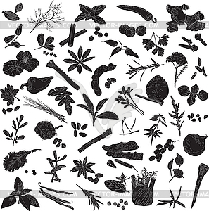 297x300 Silhouettes Spices