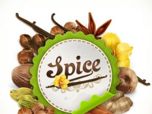 310x233 Spices Vector Free Vectors Ui Download