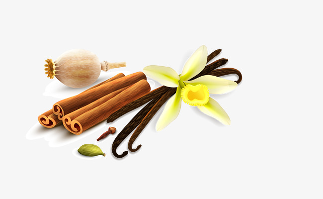 650x400 Vector Hand Painted Spices, Vector, Hand Painted, Spices Png And