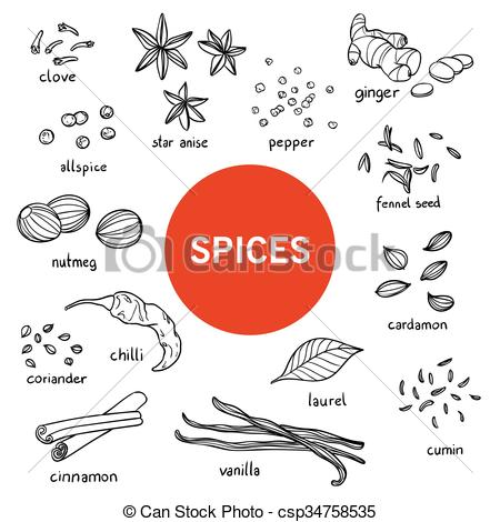 450x470 Vector Hand Drawn Spices. Vector Illustration Of Hand Drawn Spices.