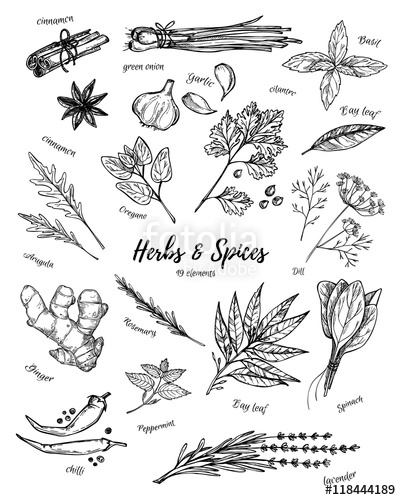 401x500 Hand Drawn Vintage Illustration