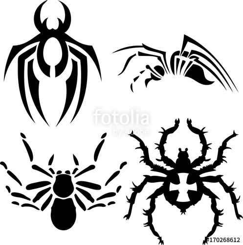 497x500 Spider Vector Designs For Tattoo And Vector On White Background