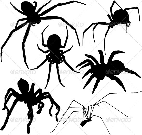 590x561 Spider Vector Silhouettes By Only4denn Graphicriver
