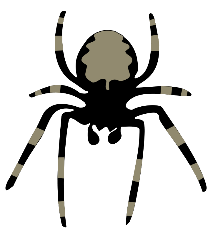 724x800 Spider Free Vector 4vector