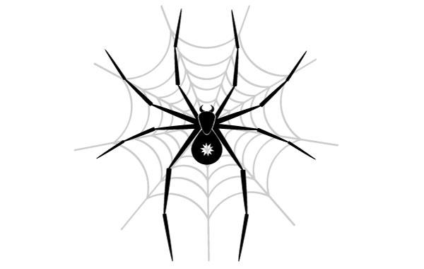 600x380 Spider Vector Image