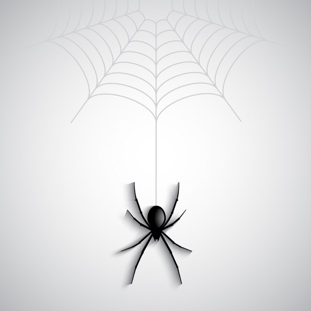 626x626 Spider Vectors, Photos And Psd Files Free Download