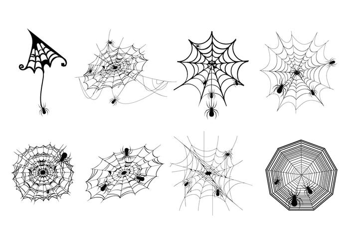 700x490 Spider Web Free Vector Art