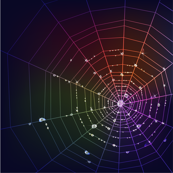 571x570 Spider Web Vector