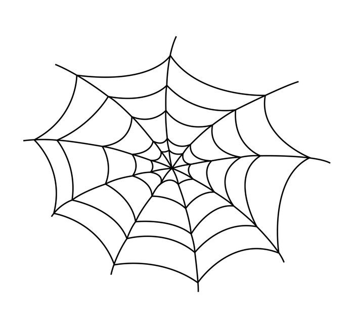 Spider Web Vector at GetDrawings | Free download