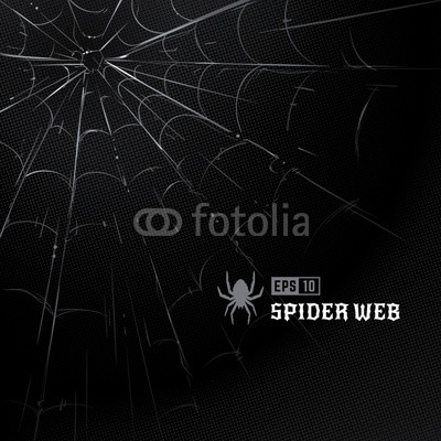 400x400 Vector Spider Web On Black Halftone Background. Hand Drawn Spider