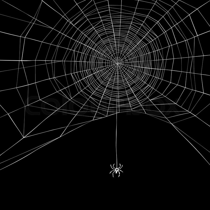 800x800 Halloween Background. Spider Web. Vector Illustration Stock
