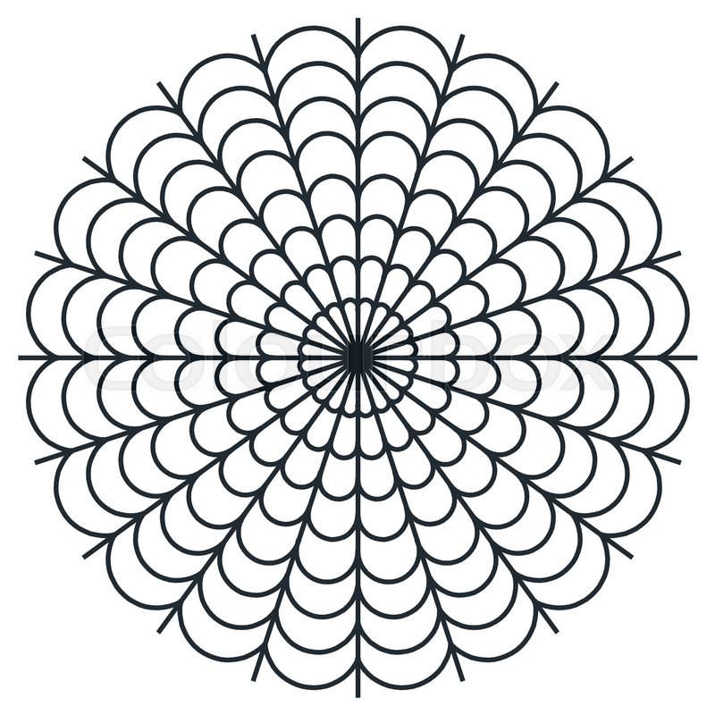 800x800 Image Of Spider Web Vector Illustration Isolated On White