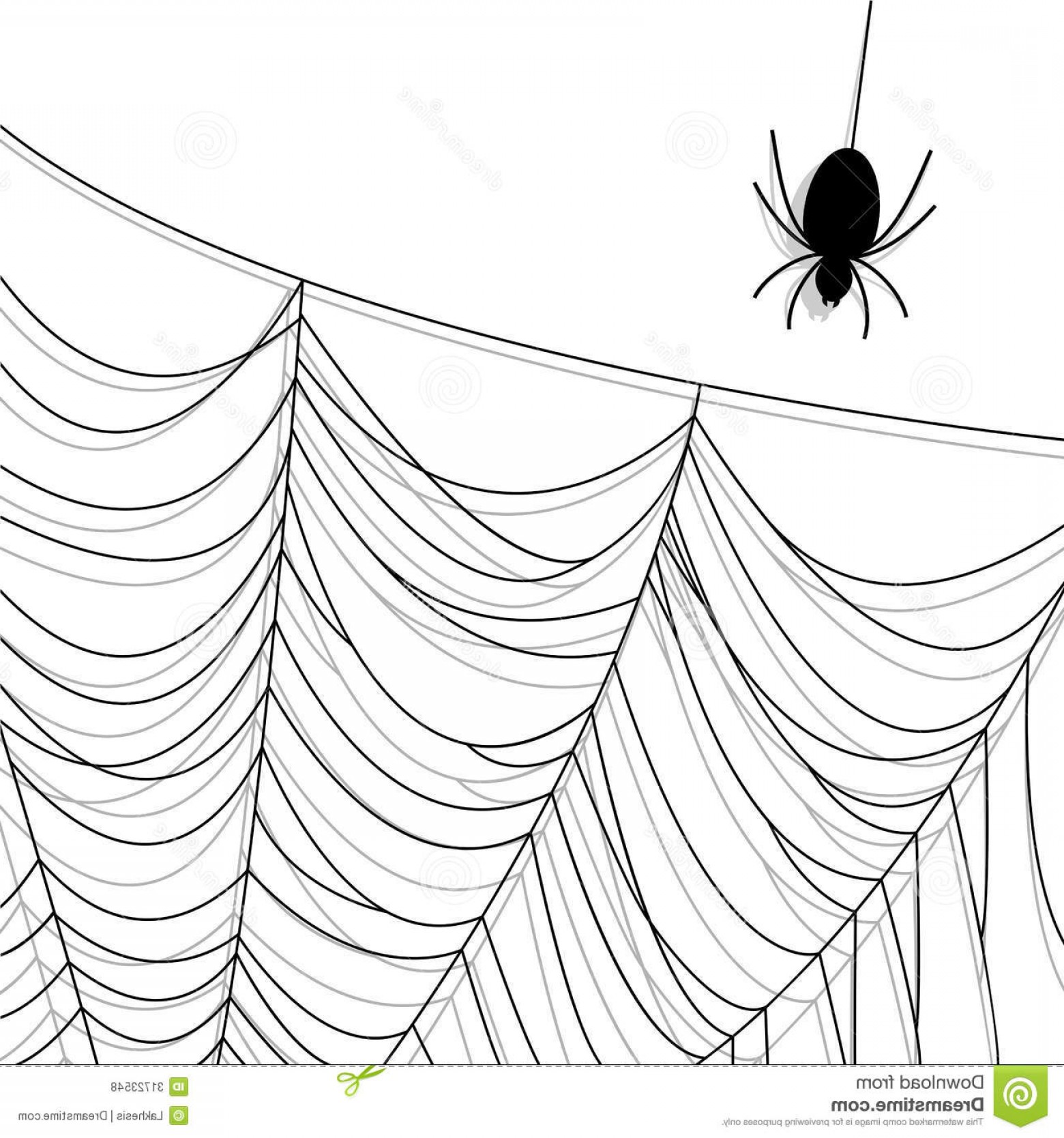 1560x1668 Royalty Free Stock Photos Spider Web Insect Halloween Background