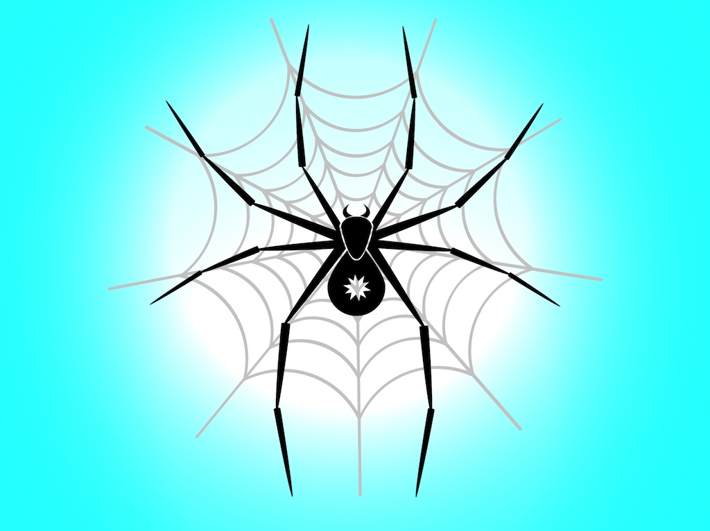1024x766 Spider In Web Vector Art Amp Graphics