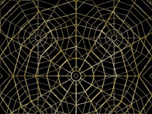 310x233 Spider Web Background Free Vector Free Vectors Ui Download