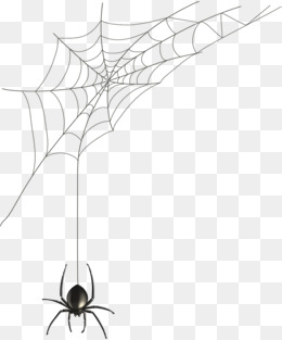 260x313 Spider Web Png Images Vectors And Psd Files Free Download On