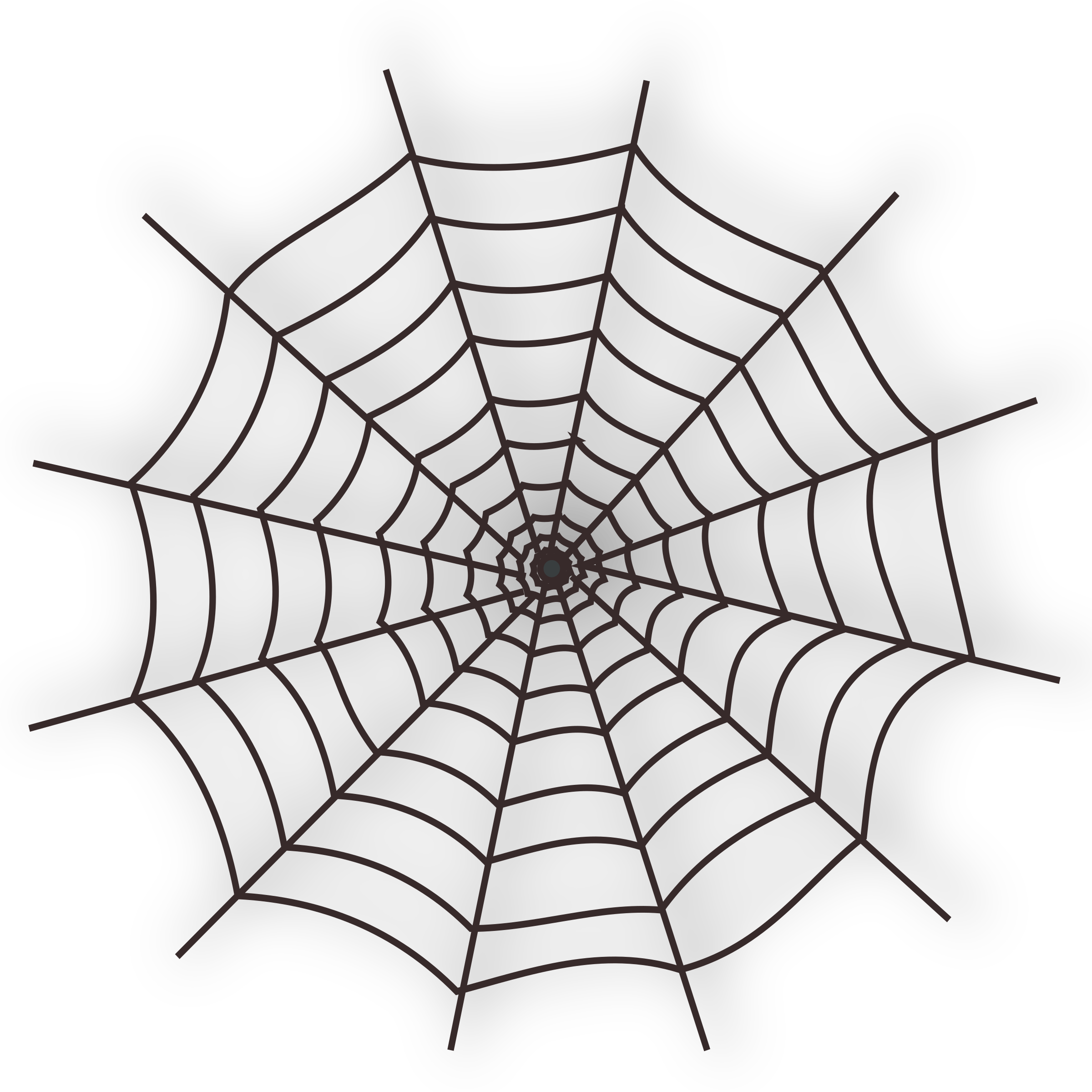 2400x2400 Spider Web Vector Art Image