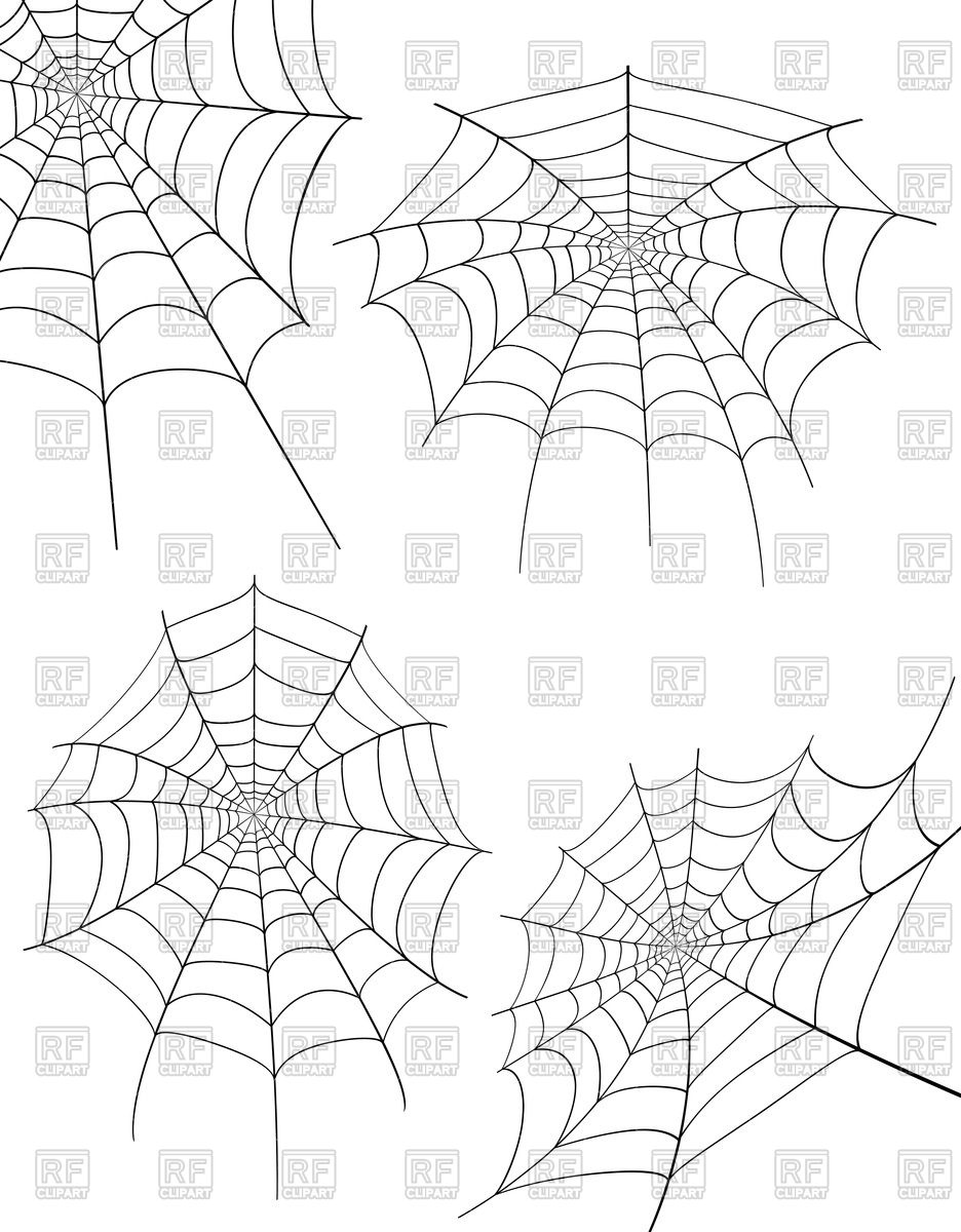 936x1200 Spider Web Illustration Isolated On White Background Vector Image