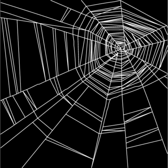 550x551 Spider Web Vector Material Free Download Web