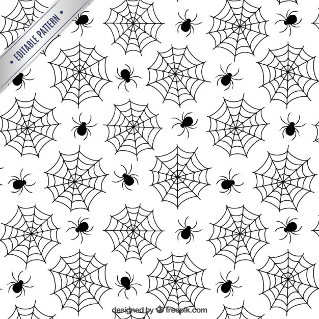 626x626 Spiderweb Vectors, Photos And Psd Files Free Download