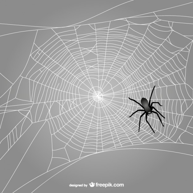 626x626 Black Spider Web Vector Vector Free Download