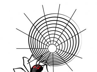 310x233 Free Spider Web Vector Images Free Vectors Ui Download