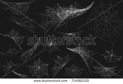 427x291 Spider Web Nail Art Designs Inspirational Free Halloween Vectors