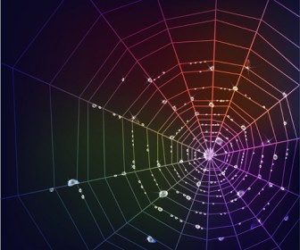 336x280 Spider Web Vector Background