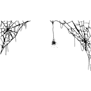 300x300 Spider Web Clipart Border