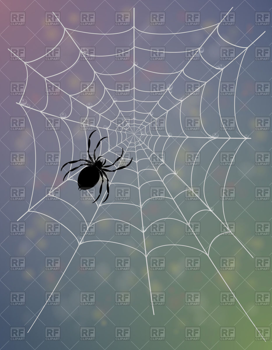 933x1200 Spider On Spider Web Vector Image Vector Artwork Of Plants And