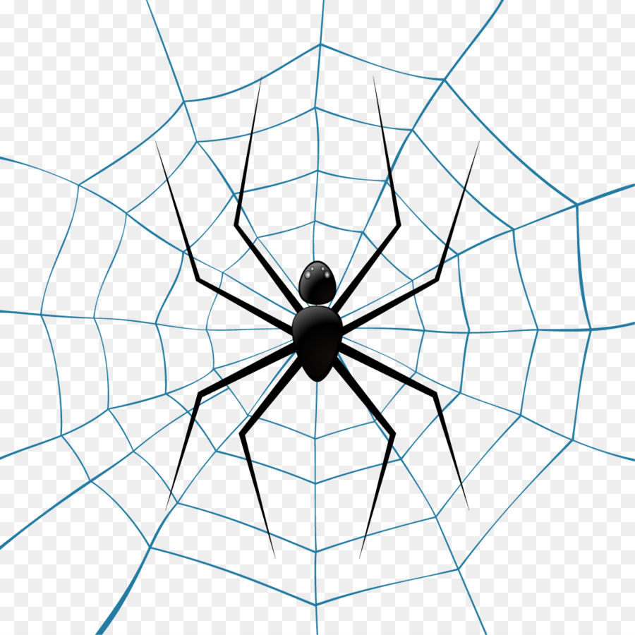 900x900 Spider Web Theridiidae Euclidean Vector Illustration