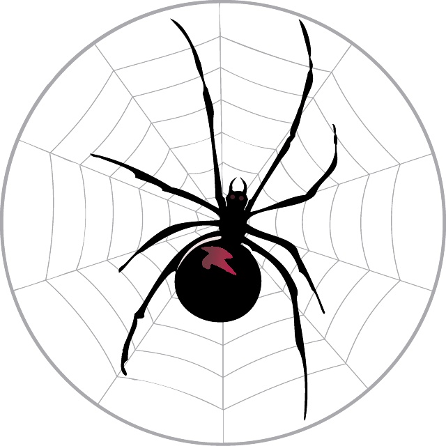 640x640 Spider In The Web Vector Free Vectors Ui Download