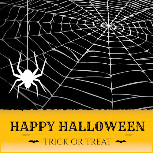 500x500 Design Background Of Spider Web In Vector Graphics 01 Free