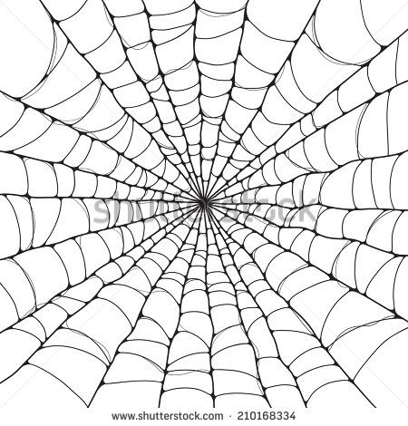 450x470 Isolated Spider Web