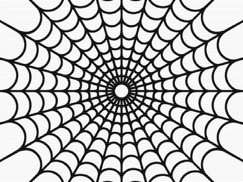 800x600 Spider Web Clipart Happy