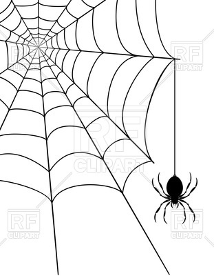 311x400 Spider And Spider Web On White Background Vector Image Vector