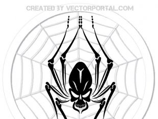 310x233 Spider Web Vector Art Free Vectors Ui Download