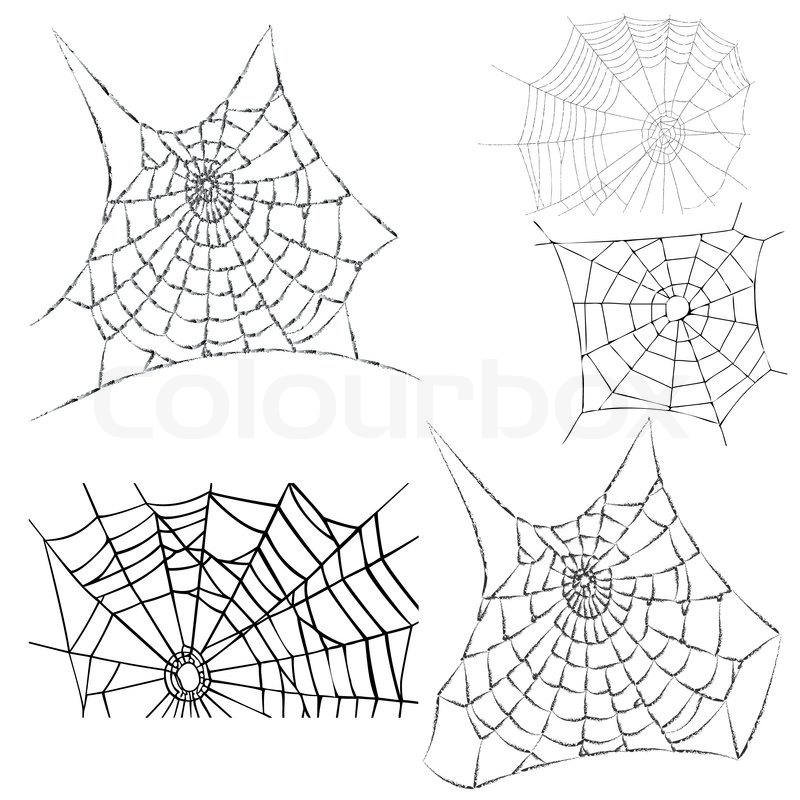 800x800 Various Cobwebs