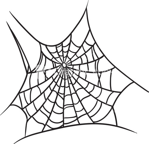 500x484 Vector Spider Web Design
